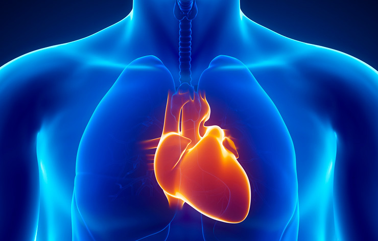 Atrial Fibrillation (AF) and OSA